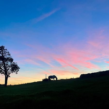 Auszeit Altenhorst, Gartenferienwohnung Schalksmuhle エクステリア 写真