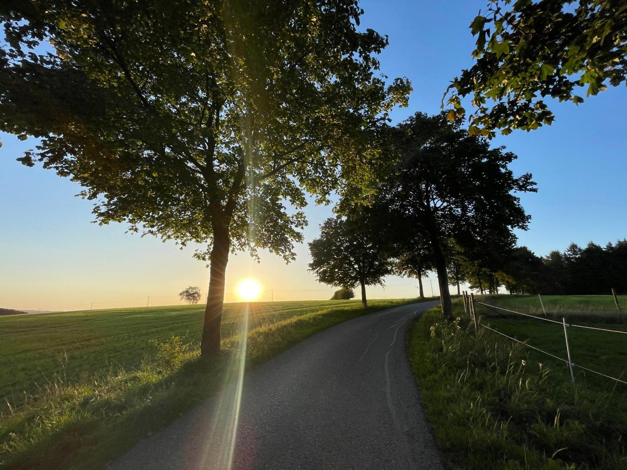 Auszeit Altenhorst, Gartenferienwohnung Schalksmuhle エクステリア 写真