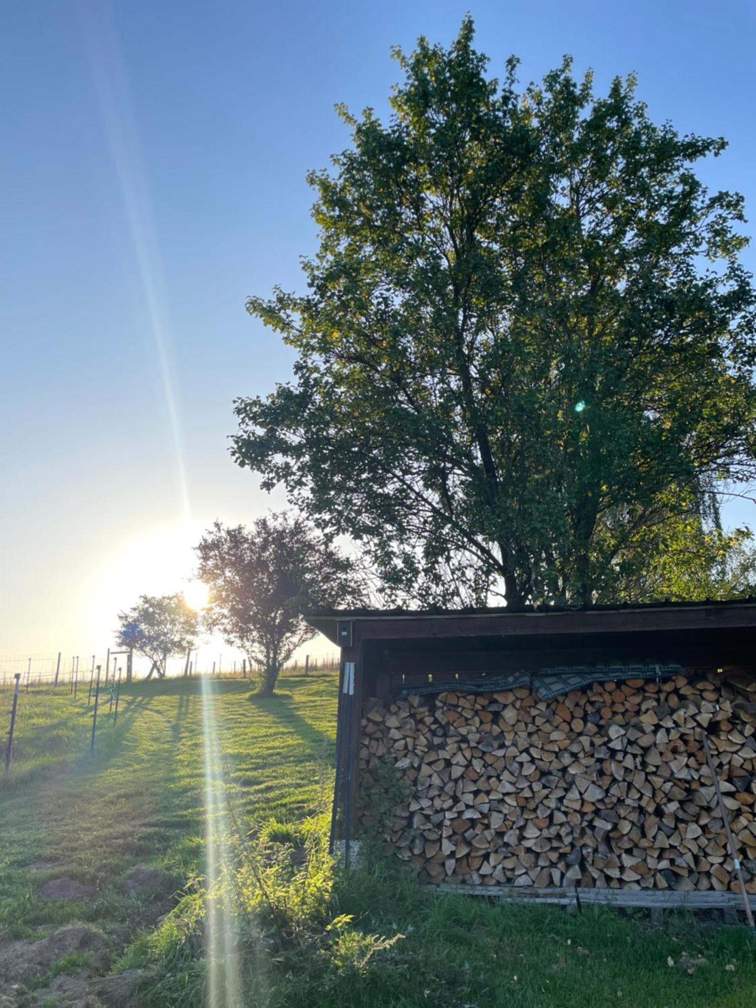 Auszeit Altenhorst, Gartenferienwohnung Schalksmuhle エクステリア 写真