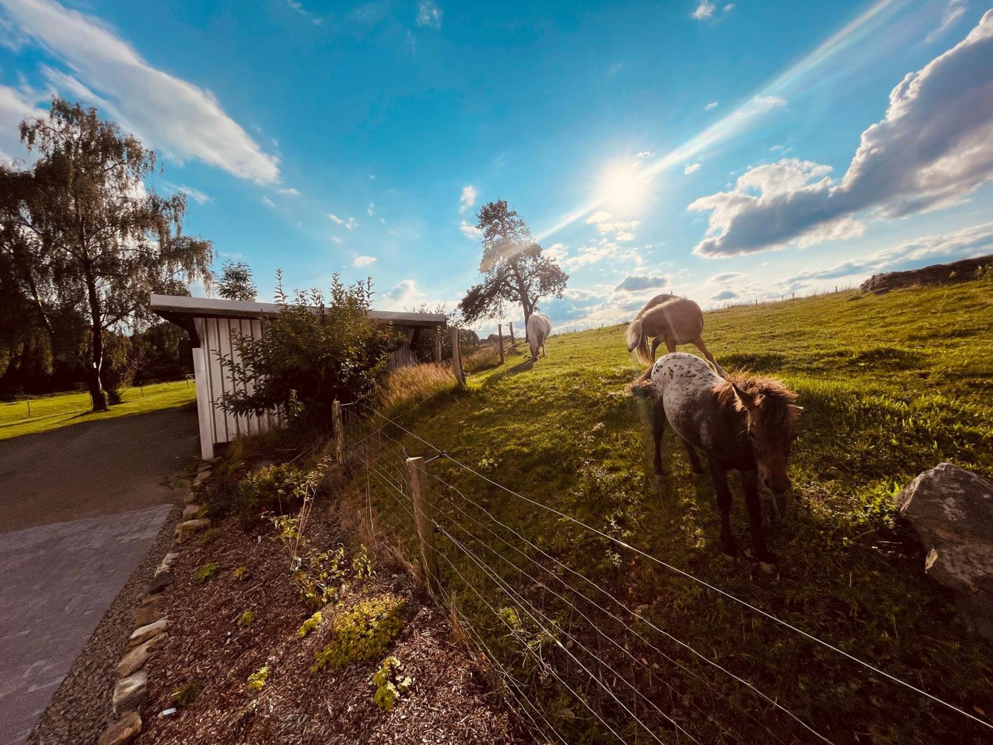 Auszeit Altenhorst, Gartenferienwohnung Schalksmuhle エクステリア 写真